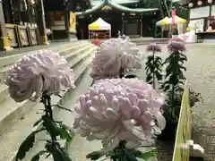 検見川神社の建物その他