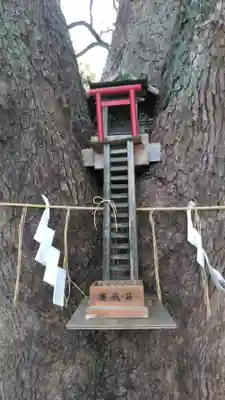 加藤神社の鳥居