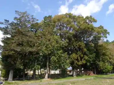深淵神社(高知県)