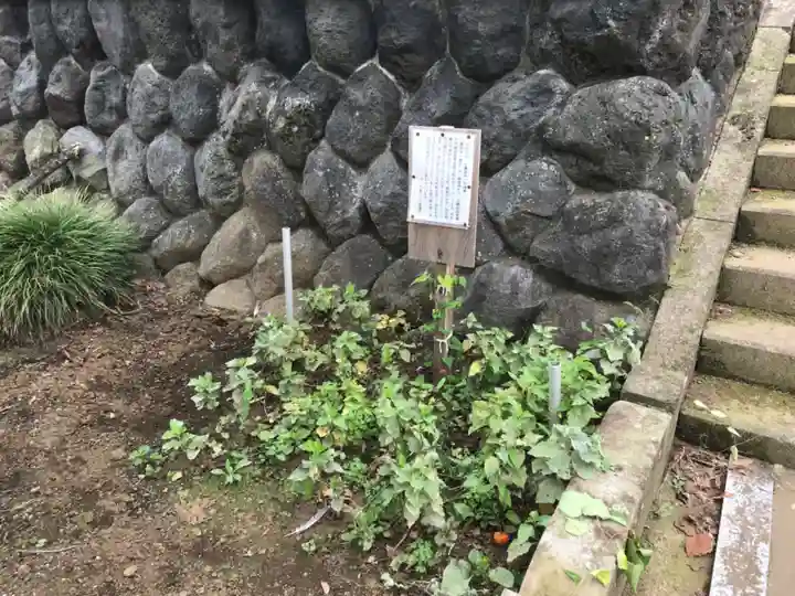 天徳寺のその他建物