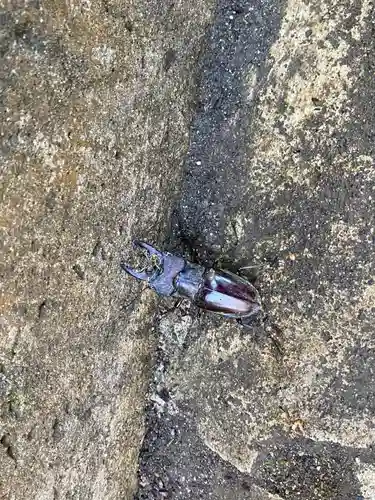 中野神社(青森県)