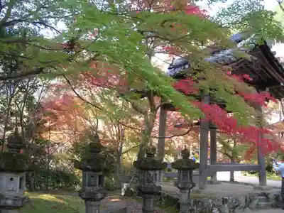 西明寺(京都府)