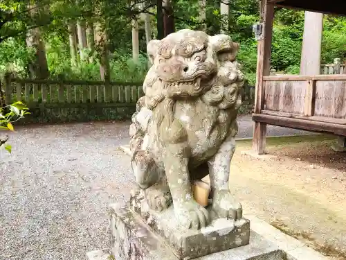 春日神社の狛犬