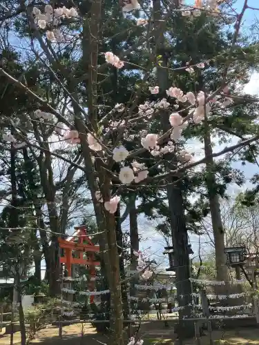 総社神社の{uncategorized: "未分類", other: "その他", undefined: "問題あり", building: "その他建物", grave: "お墓", sacred_gate: "鳥居", guardian: "狛犬", statue: "像", buddha: "仏像", history: "歴史", nature: "自然", garden: "庭園", animal: "動物", pagoda: "塔", temizu: "手水舎", mountain_gate: "山門・神門", sanctuary: "本殿・本堂", subordinate: "末社・摂社", art: "芸術", scenery: "景色", jizo: "地蔵", ema: "絵馬", goshuin: "御朱印", omikuji: "おみくじ", items: "授与品その他", amulet: "お守り", goshuincho: "御朱印帳", eats: "食事", festival: "お祭り", votive_dance: "神楽", shichigosan: "七五三参", wedding: "結婚式", experience: "体験その他", initially: "初詣", around: "周辺", anti_infection: "感染症対策"}