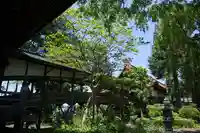 崇真寺(開運犬り切不動尊)(栃木県)