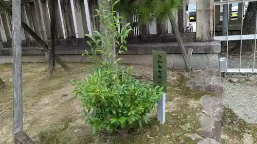 日枝神社の自然