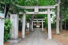 自由が丘熊野神社の鳥居