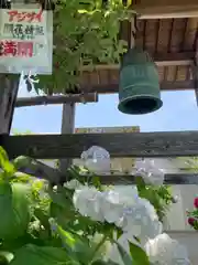 円照寺の建物その他