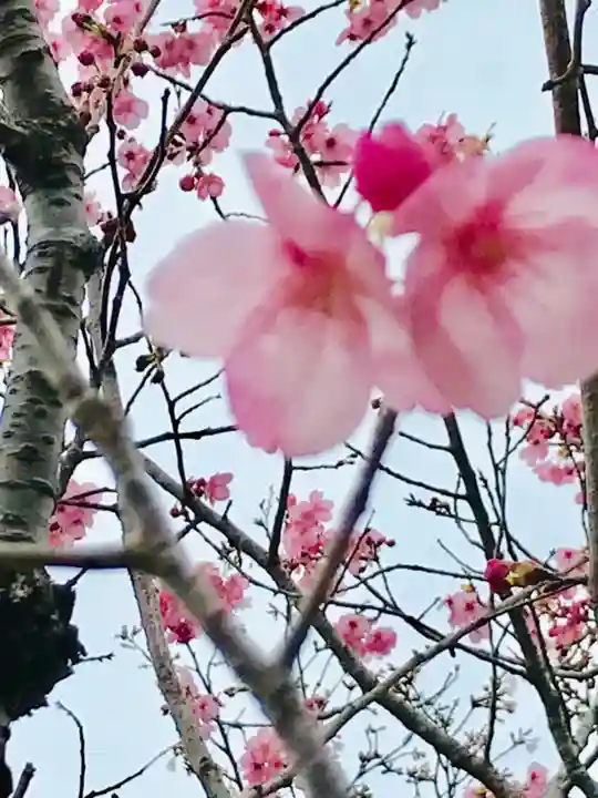 女化神社の自然