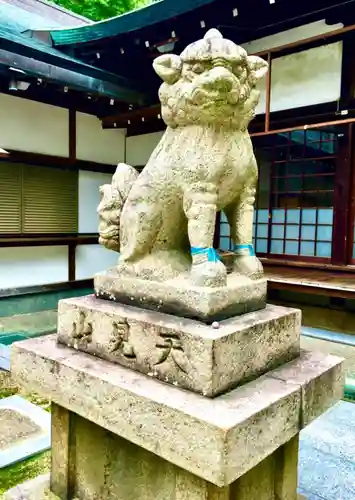 阿麻美許曽神社の狛犬