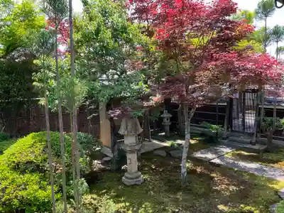大雲寺(京都府)