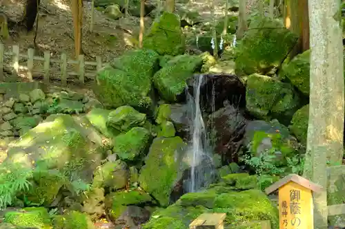 出雲大神宮の自然