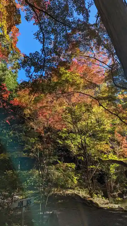 赤山禅院(京都府)