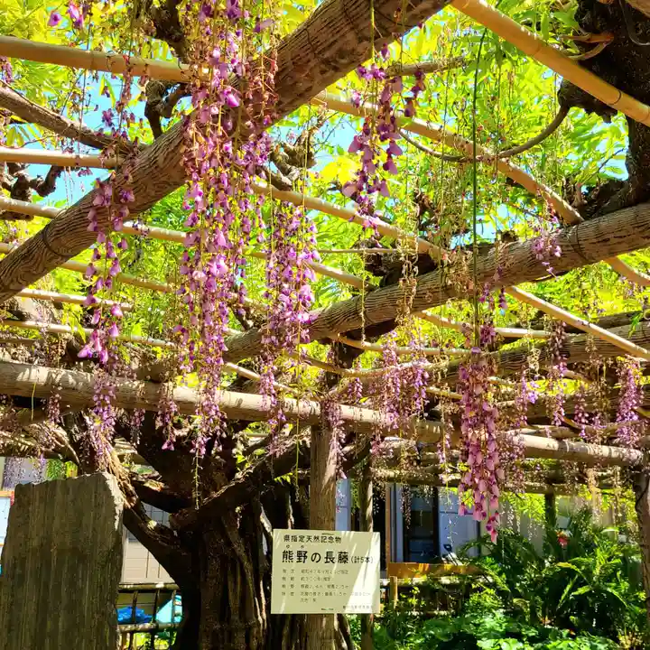 行興寺(静岡県)