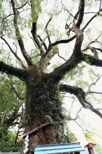 熊野那智大社(和歌山県)
