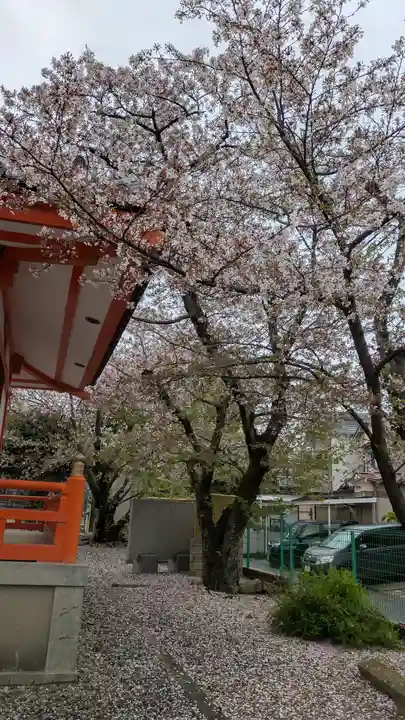 圓藏院(円蔵院)(京都府)