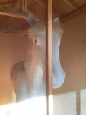 浄昇寺のその他建物