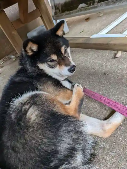上目黒氷川神社(東京都)