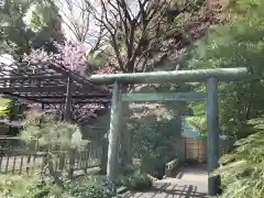 東郷神社の鳥居