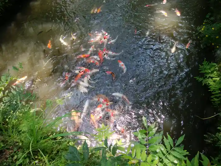 八幡神社松平東照宮(愛知県)