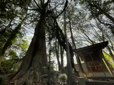 葛葉稲荷神社のその他建物