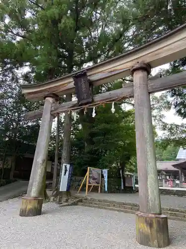 土佐神社の鳥居