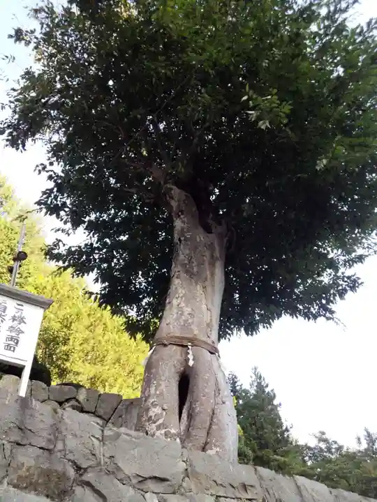 夫婦木神社のその他建物