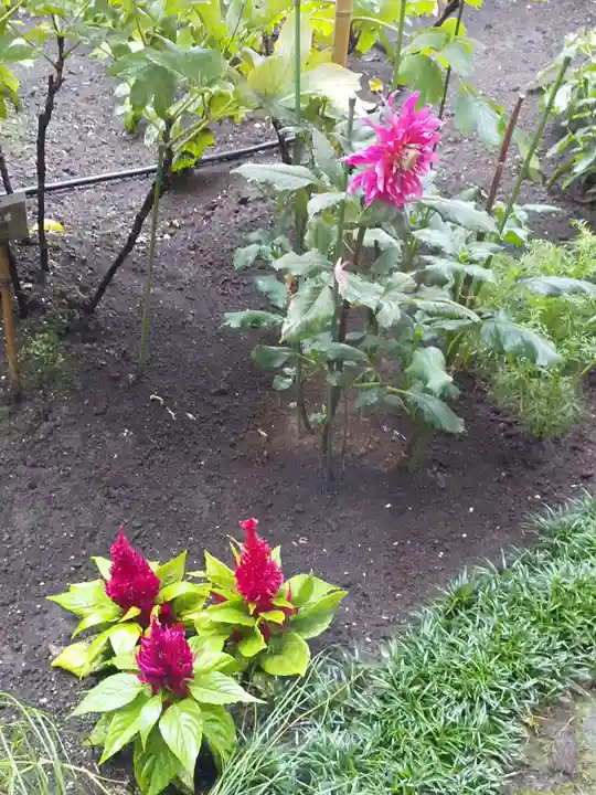 上野東照宮の自然