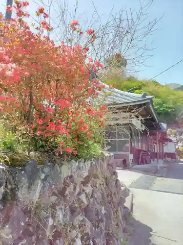 慈眼寺の本殿・本堂