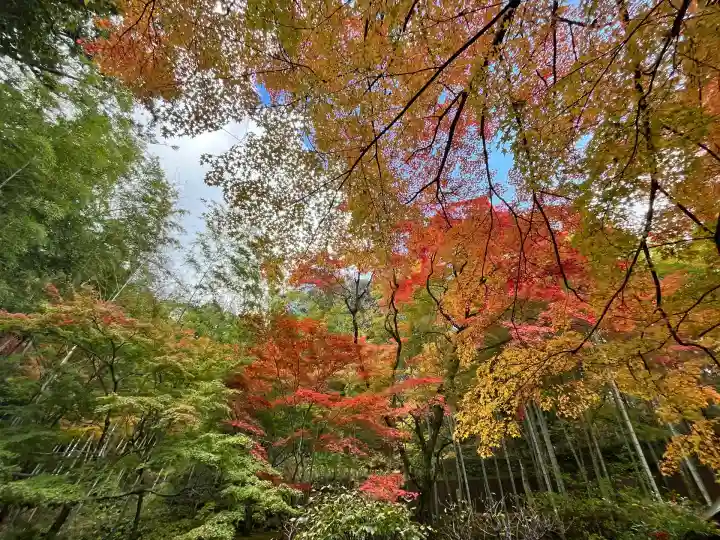 真珠院(神峯山寺塔頭)(大阪府)