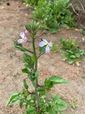 水分神社の自然