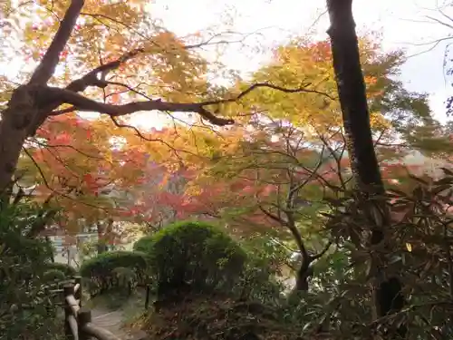 岡寺（龍蓋寺）の自然