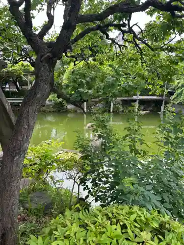 亀戸天神社(東京都)