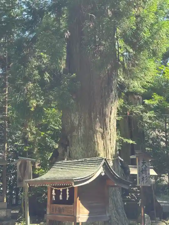 森水無八幡神社の{uncategorized: "未分類", other: "その他", undefined: "問題あり", building: "その他建物", grave: "お墓", sacred_gate: "鳥居", guardian: "狛犬", statue: "像", buddha: "仏像", history: "歴史", nature: "自然", garden: "庭園", animal: "動物", pagoda: "塔", temizu: "手水舎", mountain_gate: "山門・神門", sanctuary: "本殿・本堂", subordinate: "末社・摂社", art: "芸術", scenery: "景色", jizo: "地蔵", ema: "絵馬", goshuin: "御朱印", omikuji: "おみくじ", items: "授与品その他", amulet: "お守り", goshuincho: "御朱印帳", eats: "食事", festival: "お祭り", votive_dance: "神楽", shichigosan: "七五三参", wedding: "結婚式", experience: "体験その他", initially: "初詣", around: "周辺", anti_infection: "感染症対策"}