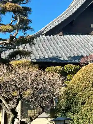 退魔寺(厄除茂呂不動尊)の{uncategorized: "未分類", other: "その他", undefined: "問題あり", building: "その他建物", grave: "お墓", sacred_gate: "鳥居", guardian: "狛犬", statue: "像", buddha: "仏像", history: "歴史", nature: "自然", garden: "庭園", animal: "動物", pagoda: "塔", temizu: "手水舎", mountain_gate: "山門・神門", sanctuary: "本殿・本堂", subordinate: "末社・摂社", art: "芸術", scenery: "景色", jizo: "地蔵", ema: "絵馬", goshuin: "御朱印", omikuji: "おみくじ", items: "授与品その他", amulet: "お守り", goshuincho: "御朱印帳", eats: "食事", festival: "お祭り", votive_dance: "神楽", shichigosan: "七五三参", wedding: "結婚式", experience: "体験その他", initially: "初詣", around: "周辺", anti_infection: "感染症対策"}