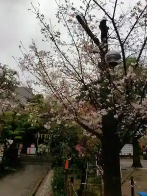 鳩森八幡神社(東京都)