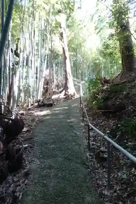 高田山口神社の自然