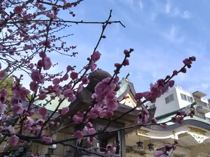 難波八阪神社の{uncategorized: "未分類", other: "その他", undefined: "問題あり", building: "その他建物", grave: "お墓", sacred_gate: "鳥居", guardian: "狛犬", statue: "像", buddha: "仏像", history: "歴史", nature: "自然", garden: "庭園", animal: "動物", pagoda: "塔", temizu: "手水舎", mountain_gate: "山門・神門", sanctuary: "本殿・本堂", subordinate: "末社・摂社", art: "芸術", scenery: "景色", jizo: "地蔵", ema: "絵馬", goshuin: "御朱印", omikuji: "おみくじ", items: "授与品その他", amulet: "お守り", goshuincho: "御朱印帳", eats: "食事", festival: "お祭り", votive_dance: "神楽", shichigosan: "七五三参", wedding: "結婚式", experience: "体験その他", initially: "初詣", around: "周辺", anti_infection: "感染症対策"}