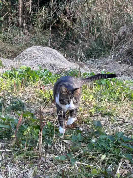 鵜戸神社(大御神社境内社)(宮崎県)