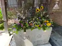 國魂神社の手水舎