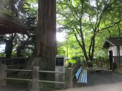 宝城坊(神奈川県)