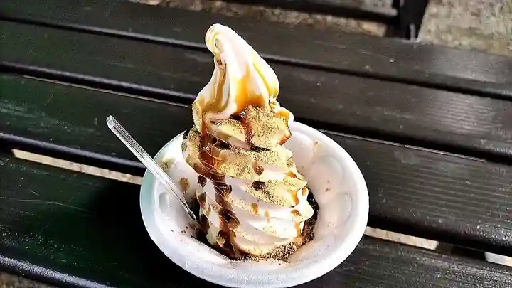 甲斐善光寺(山梨県)