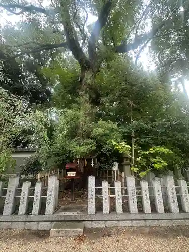 富部神社(愛知県)
