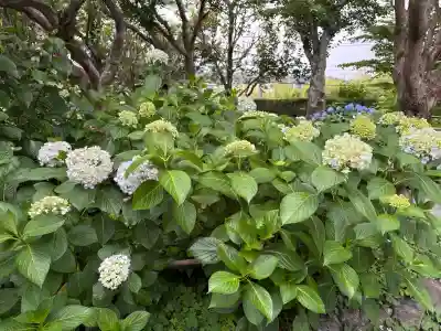 頼光寺(兵庫県)