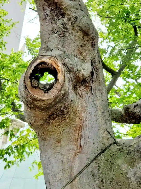 阿邪訶根神社(福島県)
