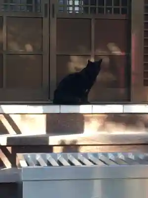 田丸稲荷神社の動物