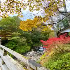 古峯神社の自然