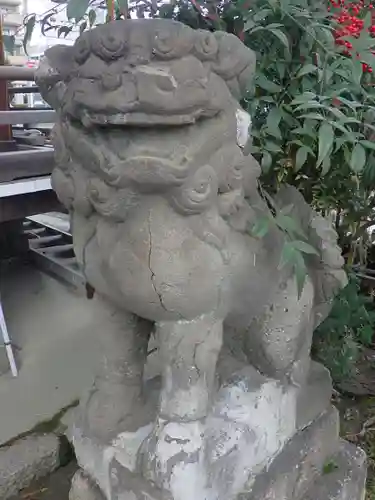 鼻川神社の狛犬