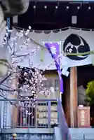 亀戸 香取神社の自然