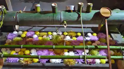 水無瀬神宮の手水舎